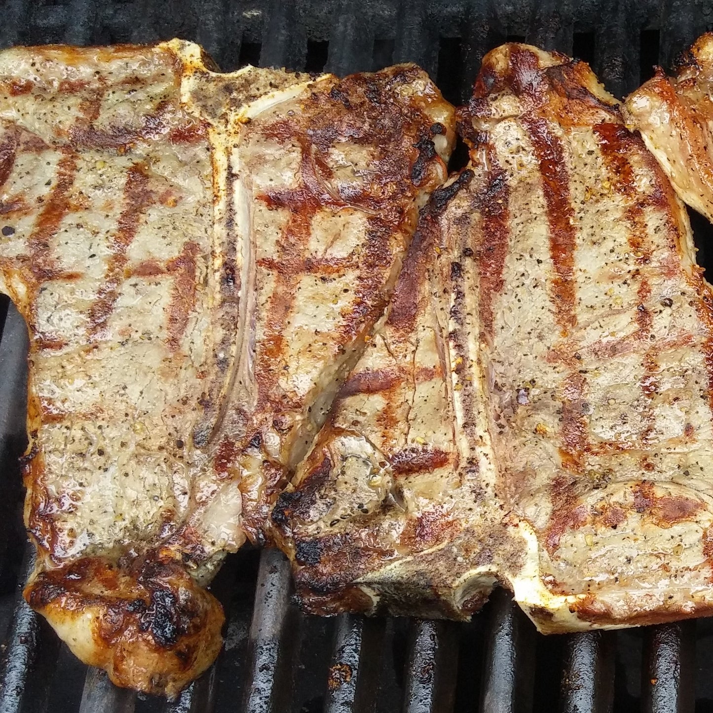 Grilled meat on a barbecue grill with visible grill marks.  Steak seasoned with Chef Tim's Savory All Purpose Seasoning. A delightful blend of spices for beef, pork, chicken, seafood, veal & lamb, including roasts, steaks, chops, loins, fillets, and burgers. Also great on roasted potatoes, fries, pizza, vegetables & soups.
"Anything that walked, swam flew or grew."
Gluten Free & Cholesterol Free & No MSG
Great as a Gift for anyone who loves to Cook, Grill or use in the Smoker. Made in USA.